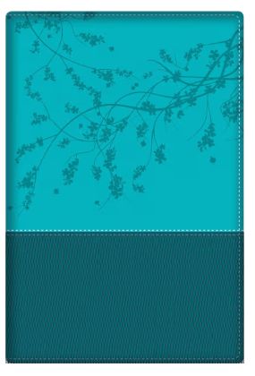 Woman After God's/Heart Bible-Teal