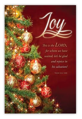 Advent – Joy – Isa 25:9 (CEB) - Pkg 100 – Standard Bulletin