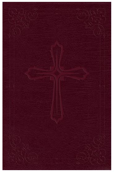 NIV COMPACT BIBLE-BURGUNDY LEATHERSOFT