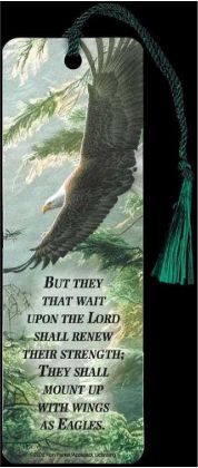 MORNING FLIGHT TASSEL BOOKMARK FULL CO