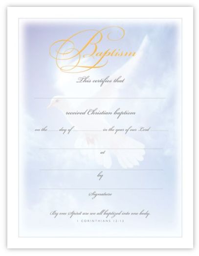 Certificate-Baptism (1 Corinthians 12:13) (Gold Foil Embossed, Premium Stock) (Pack Of 6)