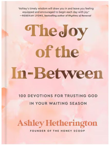 The Joy of the In-Between: 100 Devotions for Trusting God in Your Waiting Season: A Devotional