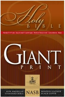 Giant Print Handy-Size Bible-NASB Black