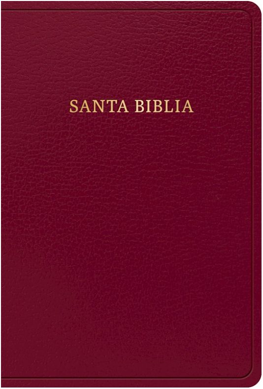 Rvr 1960 Biblia Letra Grande Tamano Manual, Burgundy Imitation Leather