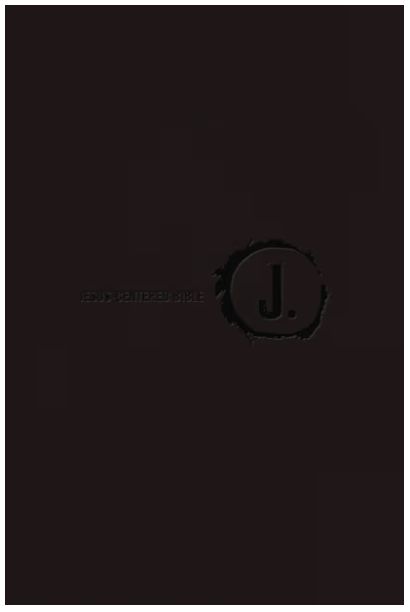 Jesus Centered Bible Large Print