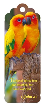 1 John 4:7 3D Bookmark — Birds