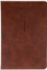 CSB Every Day with Jesus Daily Bible, Brown LeatherTouch