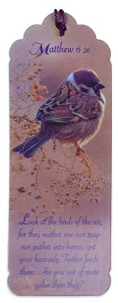 Matthew 6:26 Look at the Birds of the Air