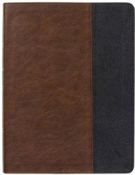 CSB Men Of Character Bible-Brown/Black Leathertouch