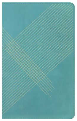 NLT Student Life Application Study Bible, Filament Enabled Leatherlike, Teal Blue Striped, Red Letter
