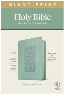 NLT Personal Size Giant Print Bible, Filament Enabled Edition Red Letter, Leatherlike, Floral Frame Teal