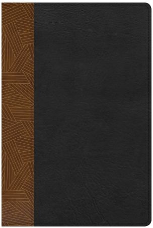 RVR 1960 Biblia de Estudio Arcoíris, tostado/negro símil piel