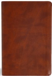 CSB Oswald Chambers Bible-Saddle Leathertouch