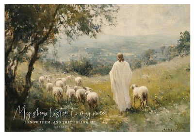 My Sheep Listens John 10:27