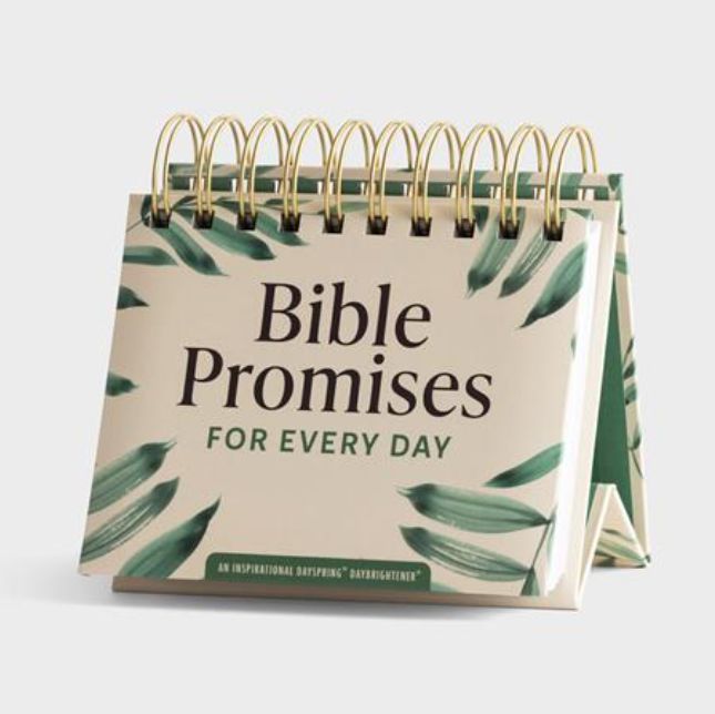 Bible Promises For Every Day