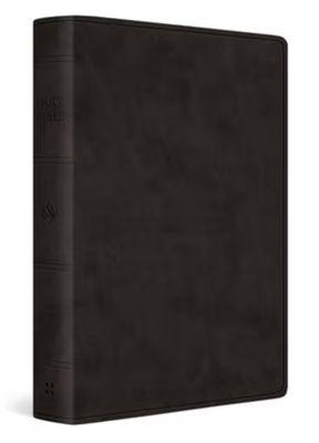 ESV Giant Print Value Personal Size Bible Trutone, Black