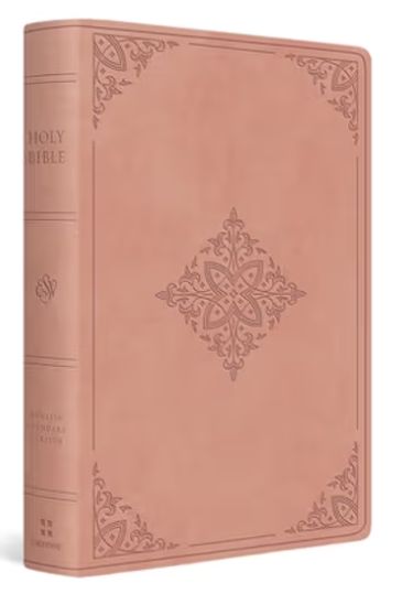 ESV Giant Print Value Personal Size Bible Trutone, Blush Rose, Fleur-De-Lis Design