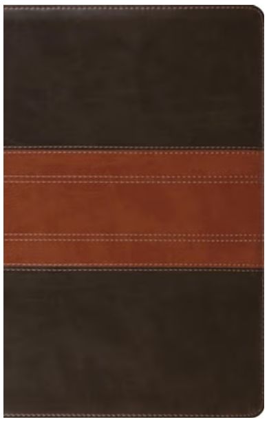ESV Giant Print Personal Size Bible, Red Letter, Thumb Indexed Trutone, Forest/Tan, Trail Design
