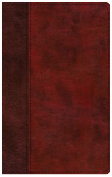 ESV Large Print Thinline Bible, Red Letter Trutone, Burgundy/Red, Timeless Design