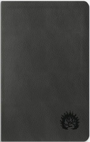 La Biblia de Estudio de La Reforma, Edición Condensada