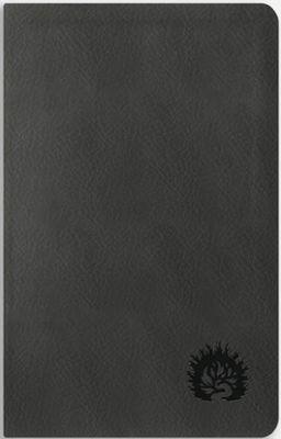 La Biblia de Estudio de La Reforma, Edición Condensada