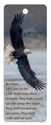 Eagle 3D Bookmark