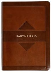 RVR 1960 Biblia Letra Grande Tamaño Manual Edición Tierra Santa