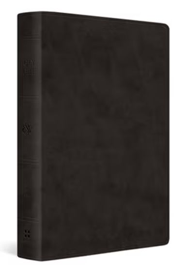 ESV Giant Print Value Thinline Bible Trutone, Black