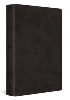 ESV Giant Print Value Thinline Bible Trutone, Black