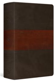 ESV Large Print Personal Size Bible, Red Letter, Thumb Indexed Trutone, Forest/Tan, Trail Design