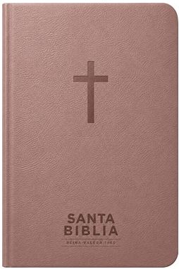 Santa Biblia RVR 60 Visual con Mapas Mentales Rosada
