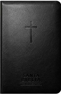 Santa Biblia RVR 60 Visual con Mapas Mentales Negra
