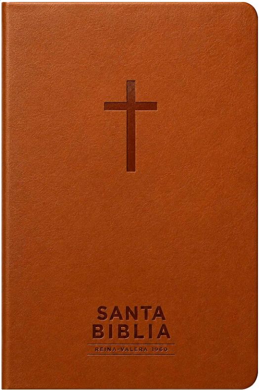 Santa Biblia Reina-Valera 1960 - Visual Con Mapas Mentales