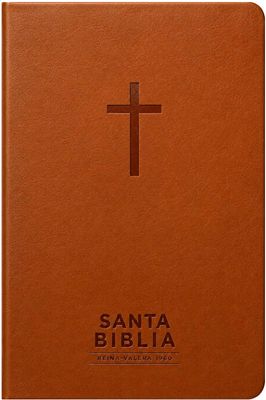 Santa Biblia Reina-Valera 1960 - Visual Con Mapas Mentales