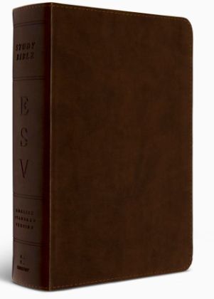 ESV Study Bible, Personal Size TruTone, Brown
