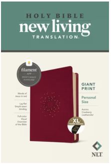 NLT Personal Size Giant Print Bible, Filament Enabled Leatherlike, Aurora Cranberry, Indexed, Red Letter