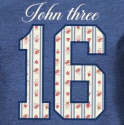 John 3:16 Womens Hooded T-Shirt