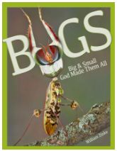 Bugs: Big &amp; Small God Made Them All