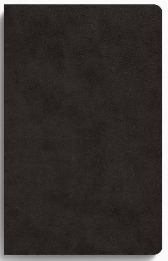 ESV Large Print Value Thinline Bible TruTone®, Black