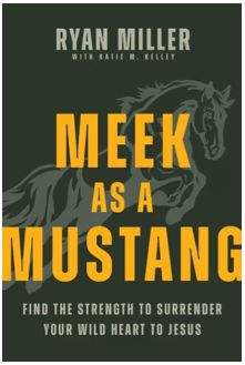 Meek as a Mustang: Find the Strength to Surrender Your Wild Heart to Jesus