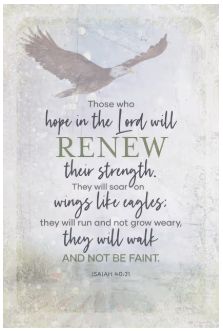 Those Who Hope In The Lord 9x6