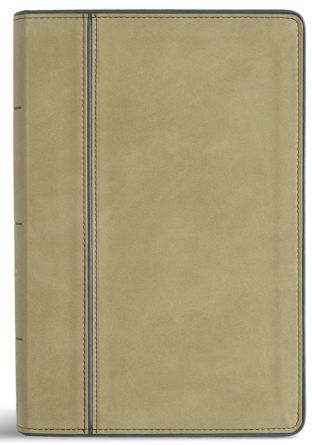 CSB Personal Size Giant Print Bible Sage