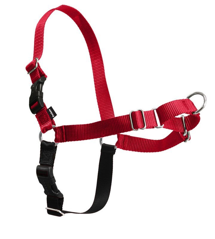 PetSafe Easy Walk Harness