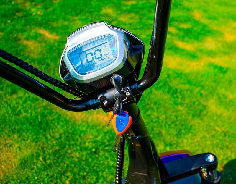 Scooter Électrique Mini City Coco Beach - Batterie amovible
