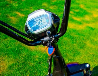 Scooter Électrique Mini City Coco Beach - Batterie amovible