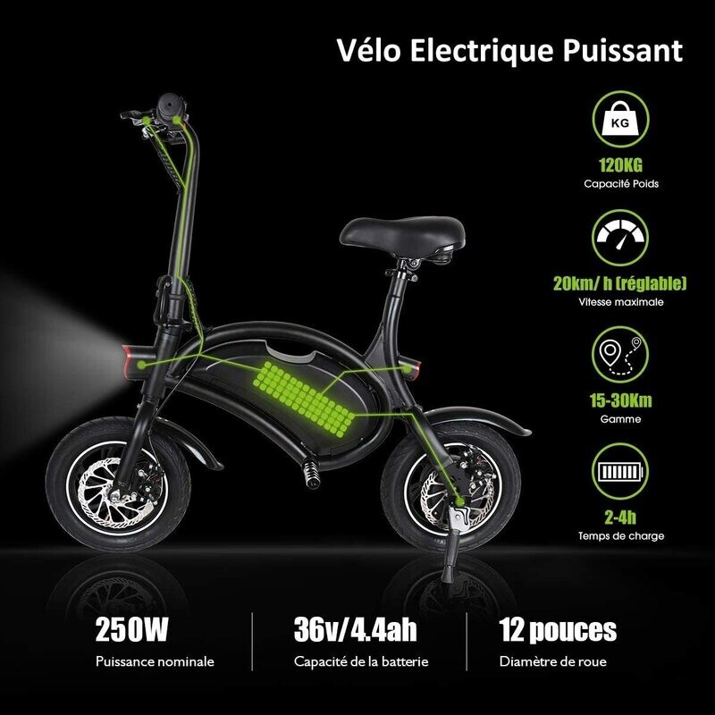 Draisienne Électrique WINDGOO 350W