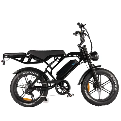Vélo électrique Fatbike Longtail Gyrocargo bi-place M23 1.2