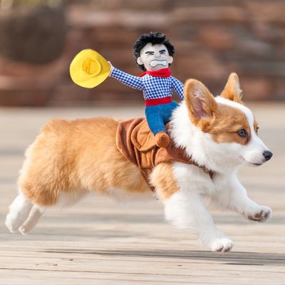 Costumes d&#39;Halloween pour chiens, déguisements de cow-boy