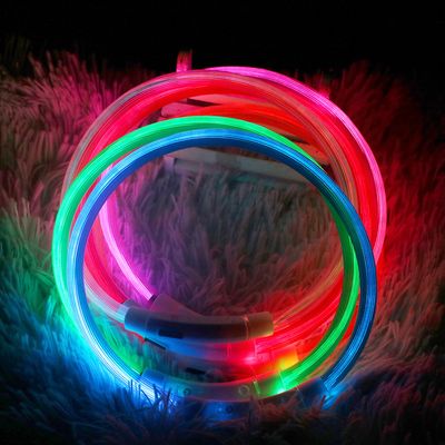 Collier lumineux rechargeable par USB pour animaux de compagnie