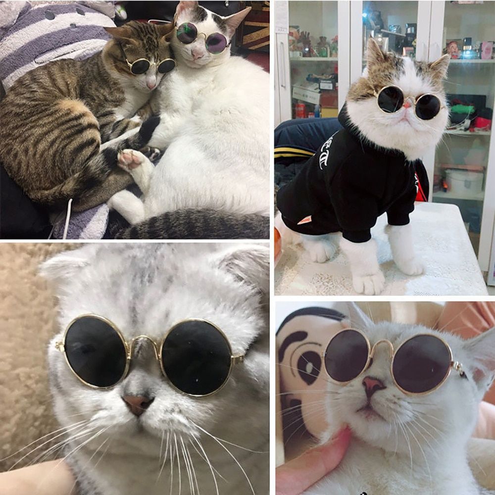 Little Dog Cat Eye Wear Dog Sunglasses